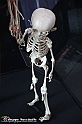 VBS_3032 - Mostra Body Worlds